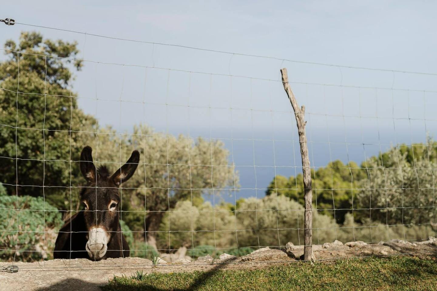Сasa de vacaciones Casa Tramuntana *