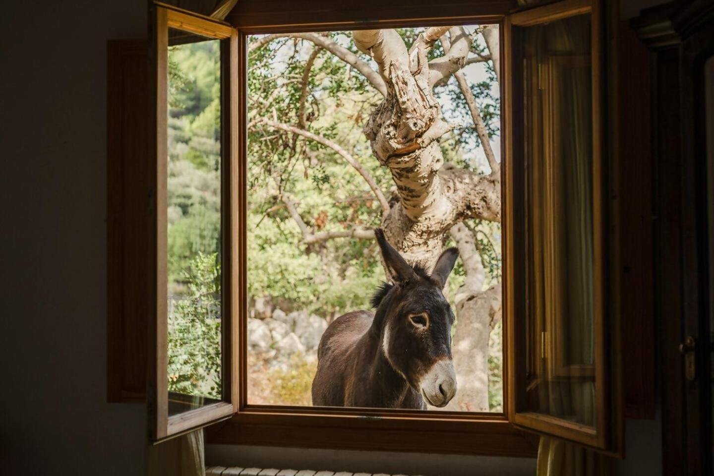 Casa Tramuntana Сasa de vacaciones