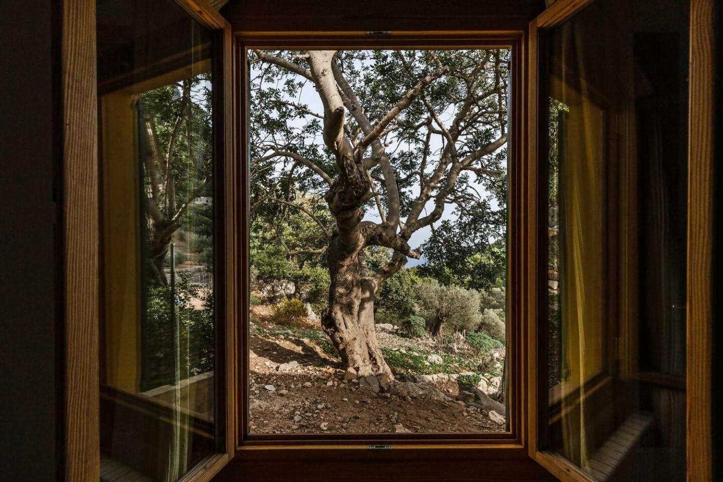 Casa Tramuntana Сasa de vacaciones